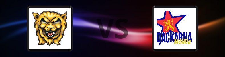 Lejonen - Dackarna odds, speltips, resultat i Elitserien Speedway