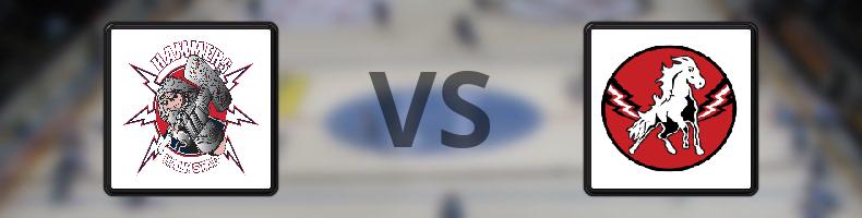 Halmstad Hammers HC - Vita Hästen odds, speltips, resultat i HockeyEttan