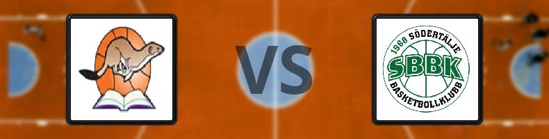 RIG Luleå - Södertälje odds, speltips, resultat i Basketligan damer