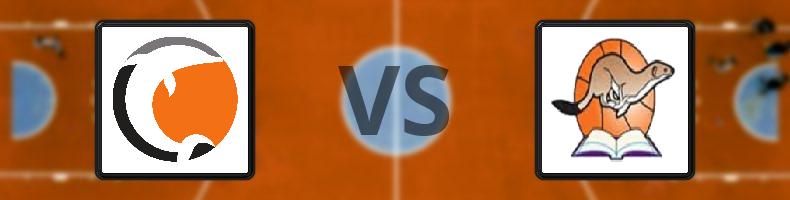 Norrköpings Dolphins - RIG Luleå odds, speltips, resultat i Basketligan damer