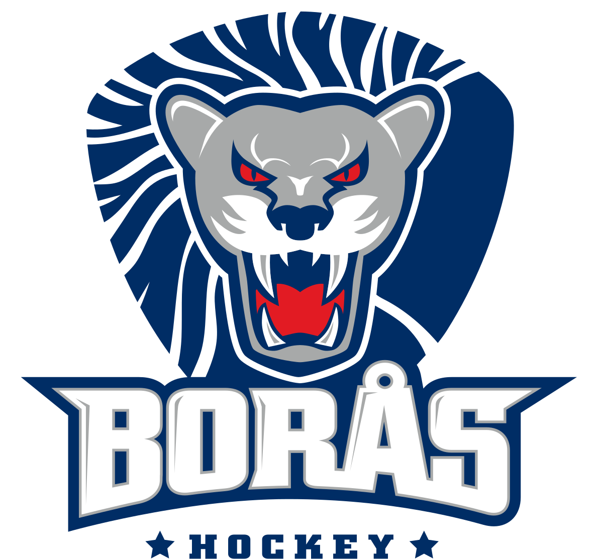 Borås 
