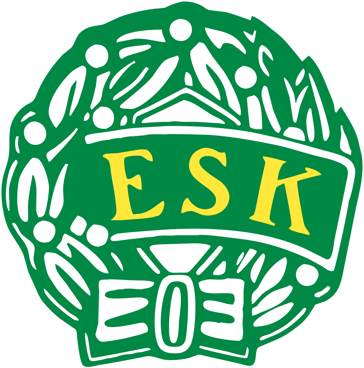 Enköpings SK FK 