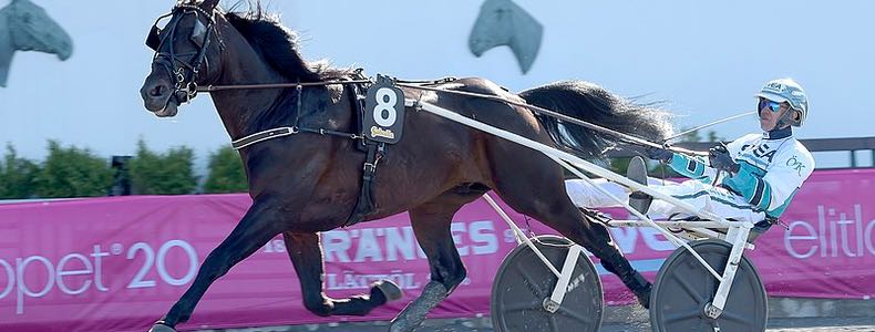 Speltips & spelförslag på Elitloppet 2023