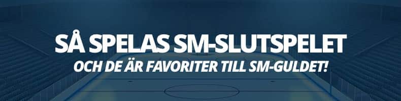 Så spelas SM-slutspelet i SHL 2024